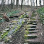 Stairs to the Well