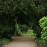 Yew Tree Portal
